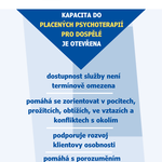 V Praze i Říčanech momentálně nabízíme volnou kapacitu do placených terapií. Pražské centrum nabízí placené terapie pro děti a dospělé, říčanské centrum nabízí placené terapie pouze pro dospělé.