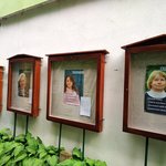 Modré dveře - Ze zákulisí kampaně na krizovou pomoc