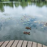 Modré dveře - Výlet s klienty do Dendrologické zahrady