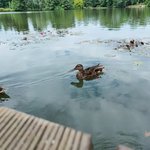 Modré dveře - Výlet s klienty do Dendrologické zahrady